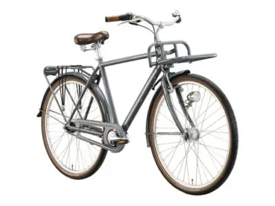 Excelsior Swan-Retro FT Alu